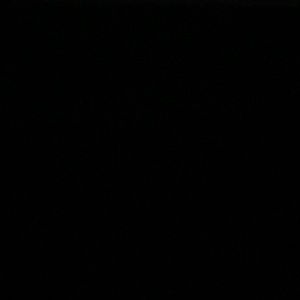 Meet your Posher, Max